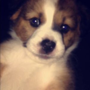 Meet your Posher, Arely